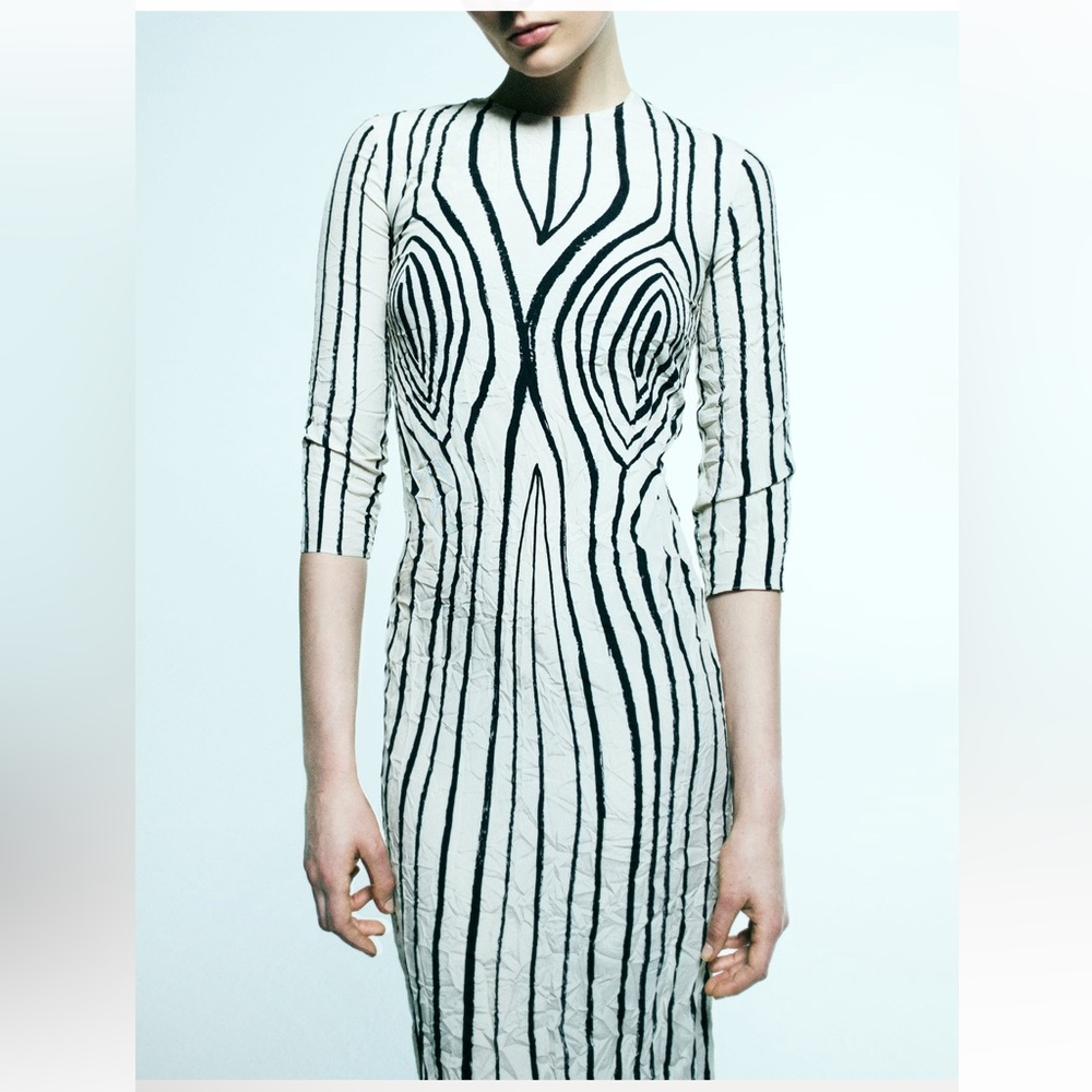 Zara Black and White Patterned Dress